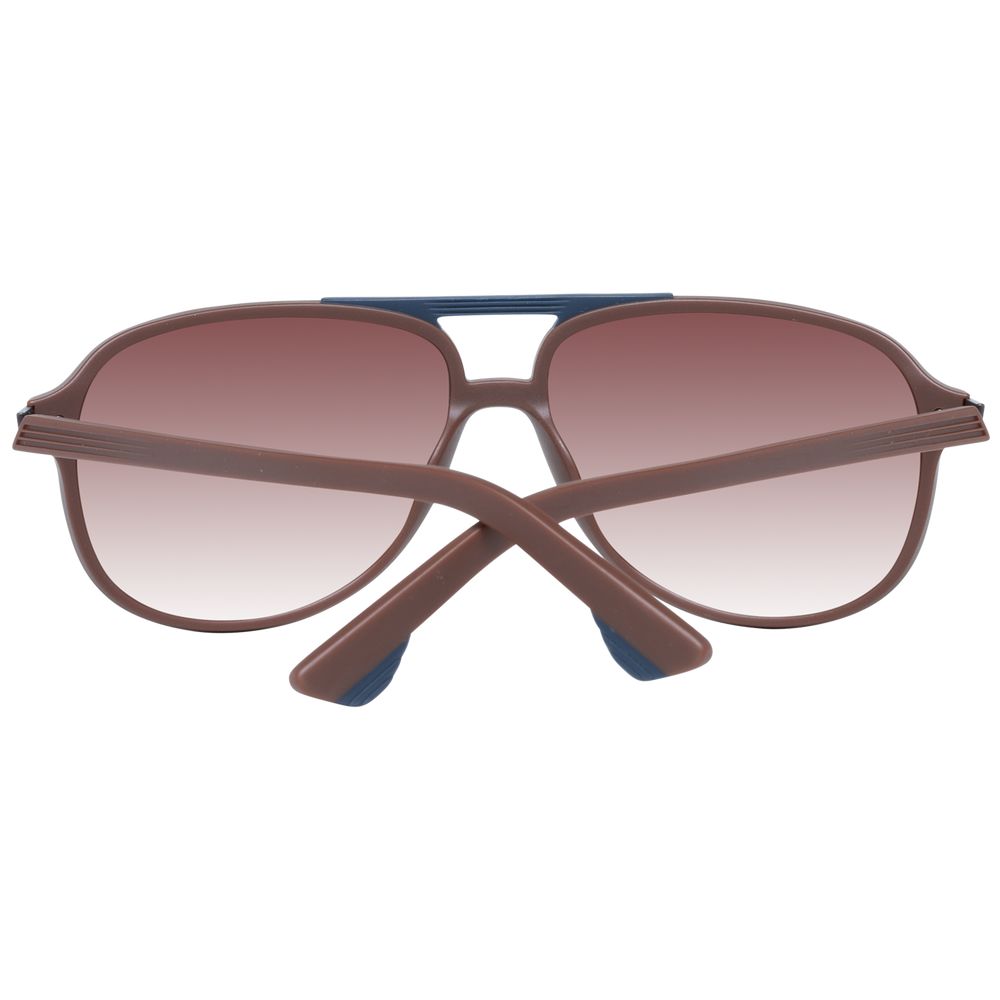 Police Brown Men Sunglasses