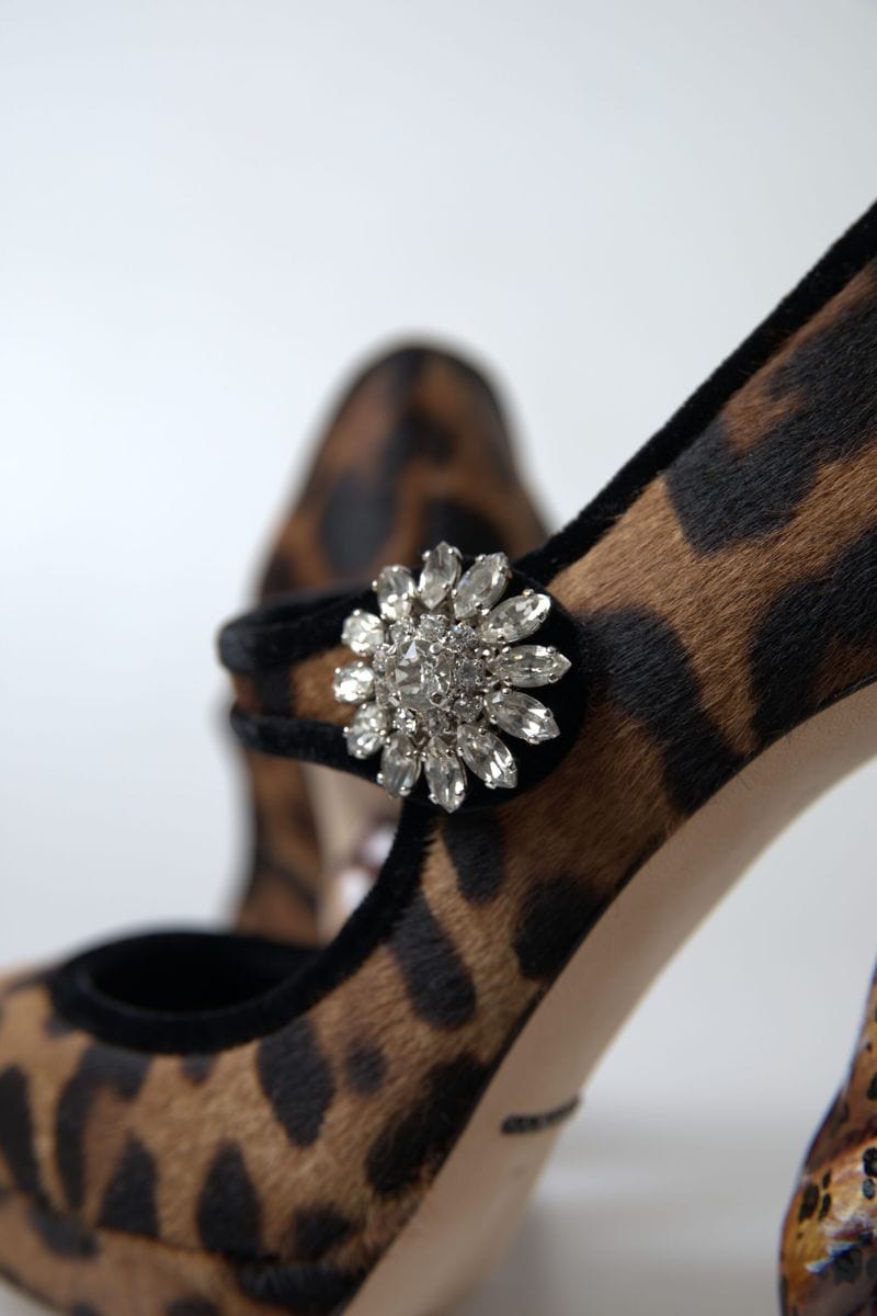 Dolce & Gabbana Elegant Leopard Heel Pumps for Chic Sophistication